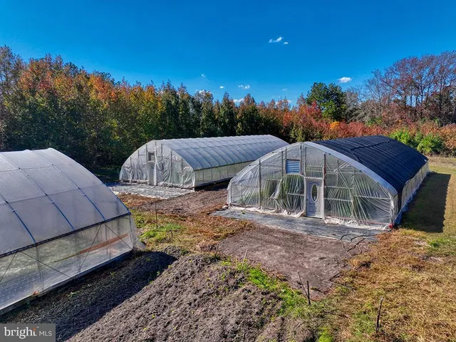 a view of a house with backyard and trees