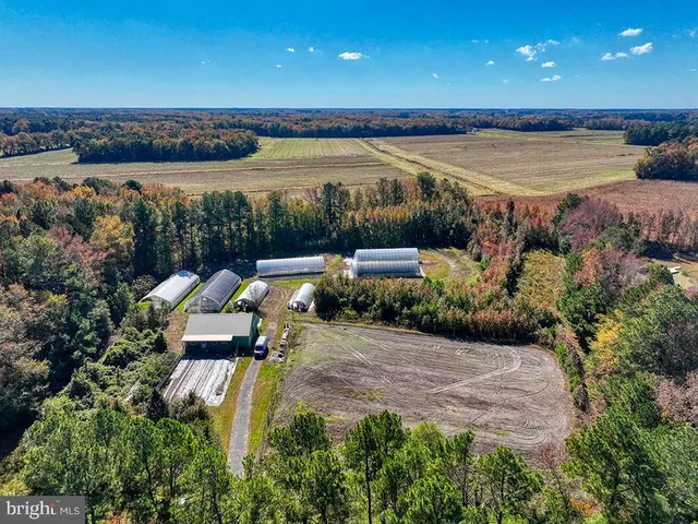 a view of a swimming pool and lounge chair