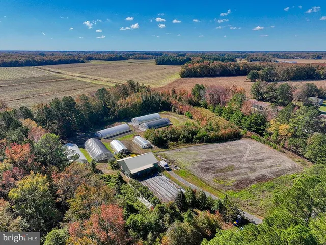 an aerial view of a house with a yard and lake view