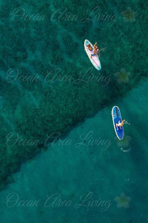 2731 Northeast 5th Street Pompano Beach, FL 33062 - Photo 79 of 91 a yellow building with trees in the background