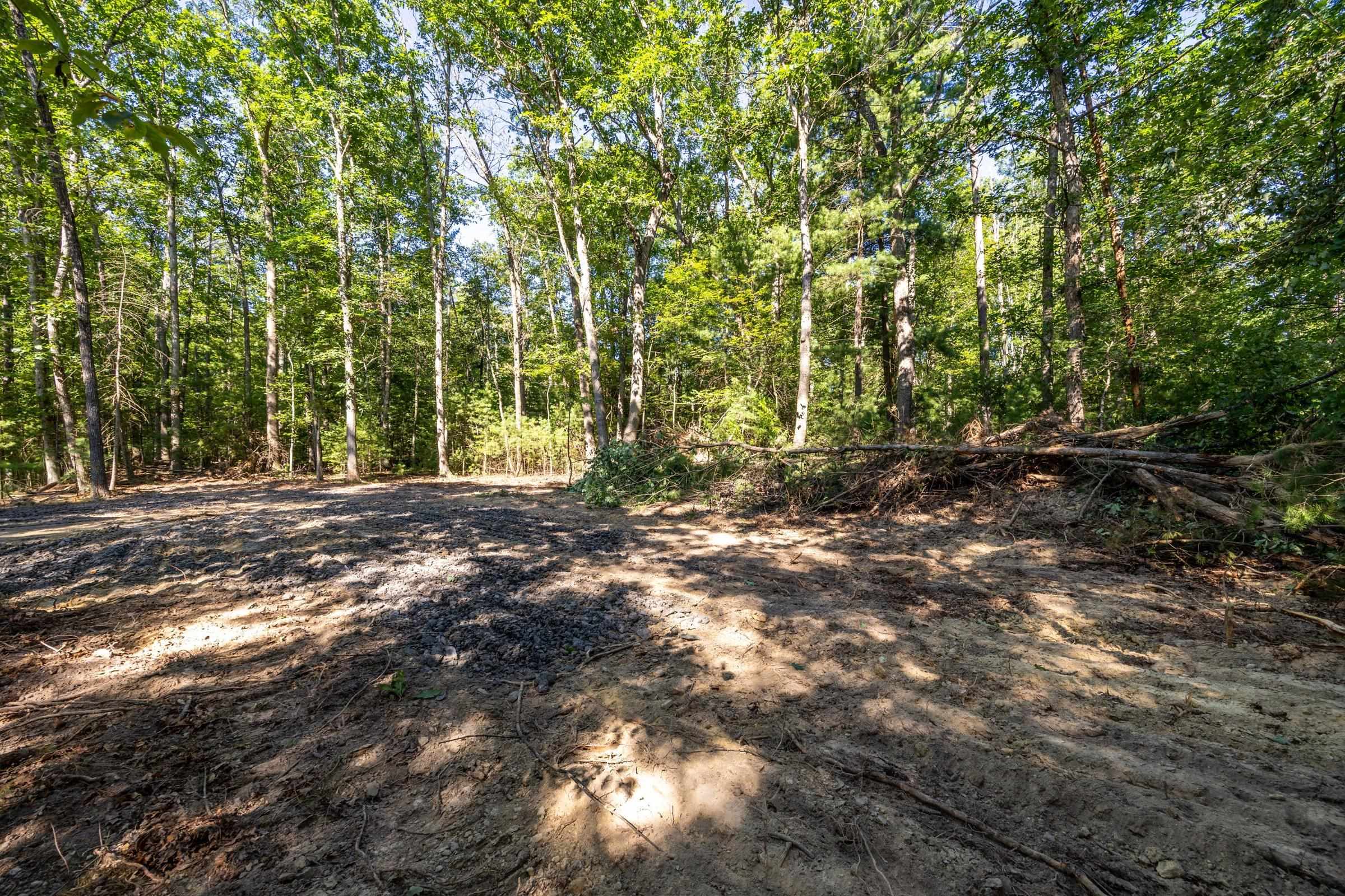 Parcel B Alum Springs Road Edinburg, VA 22824 - Photo 11 of 17 Gallery Image 11