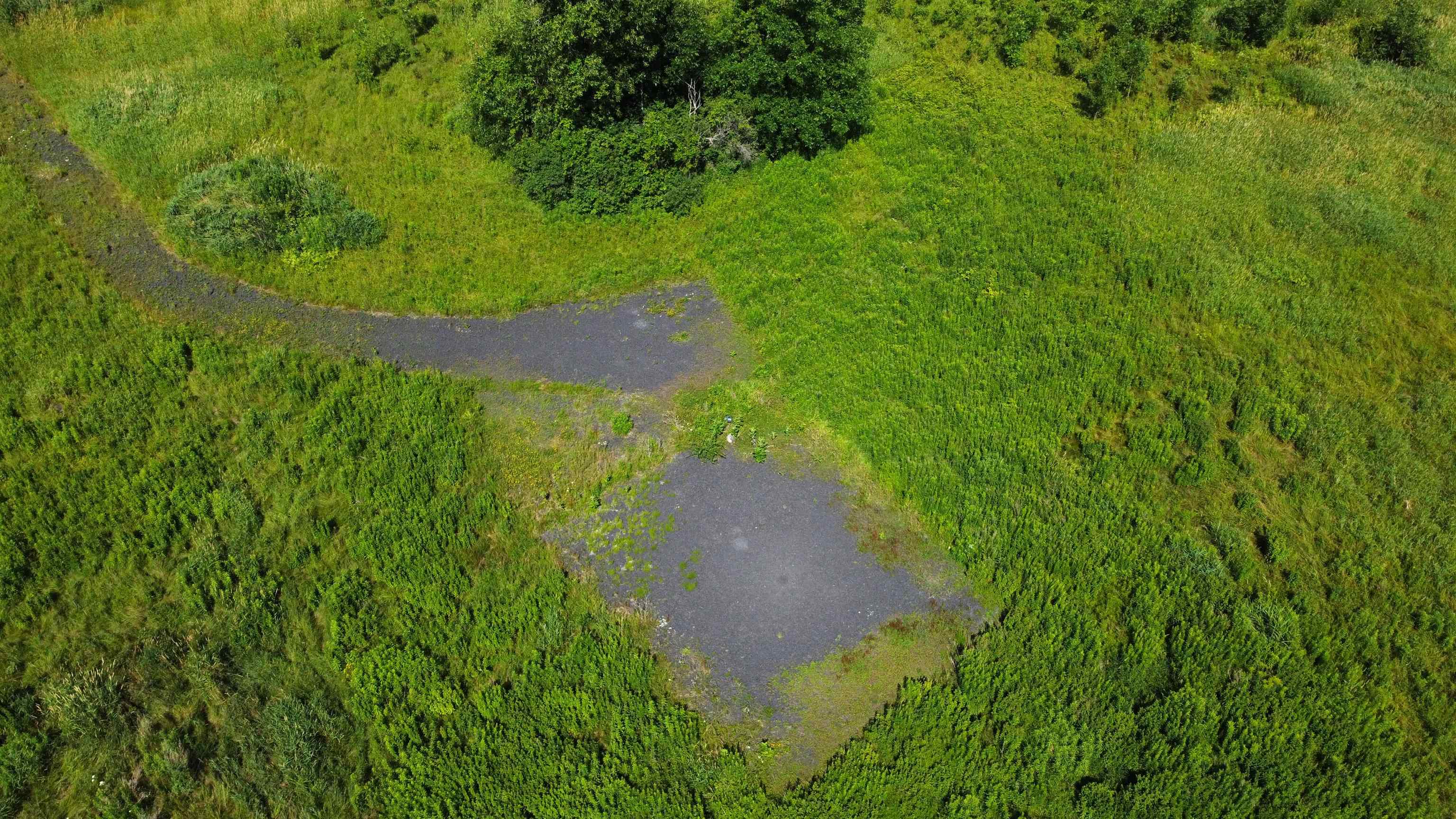 46 Baker Place North Hero, VT 05474 - Photo 3 of 16