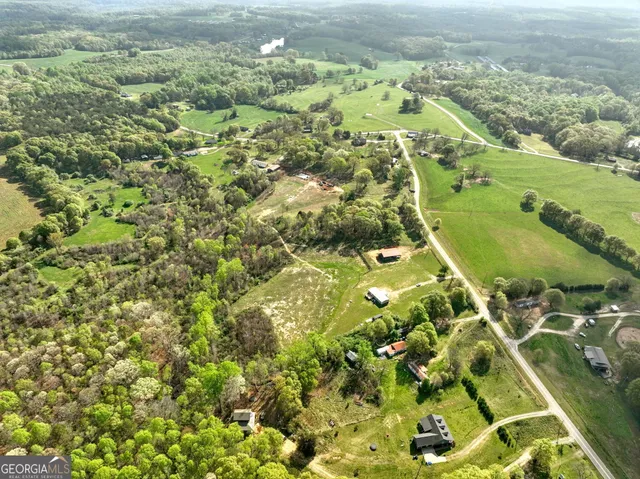 a view of a park with large trees