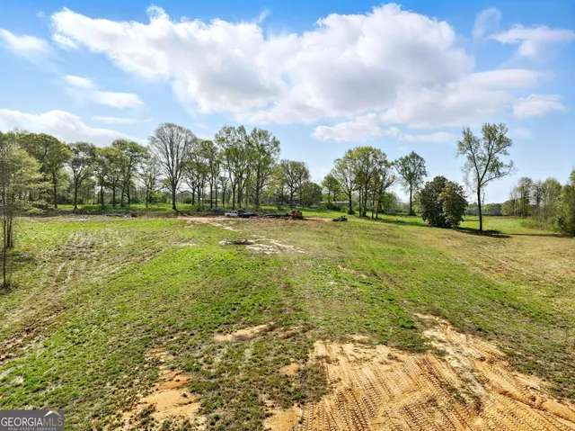 a garden with trees in the background