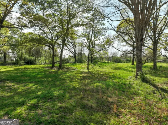 a view of yard with green space