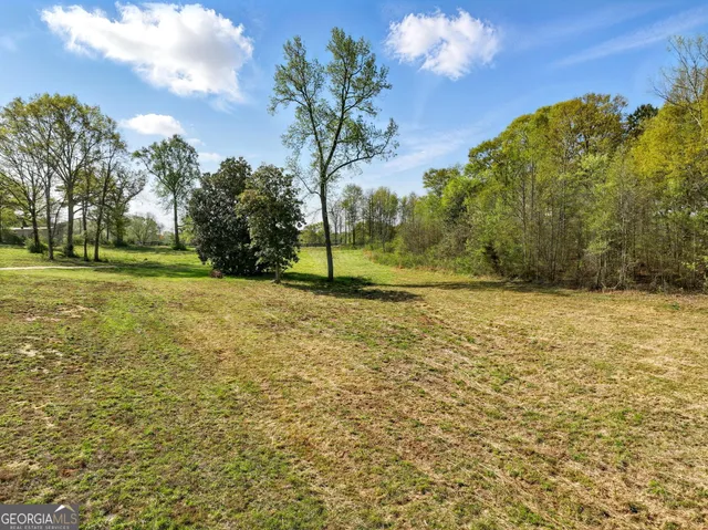 a view of a yard with plants and large trees