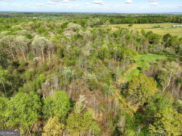 $625,000 | 150 Garrison Road, Carnesville, GA 30521