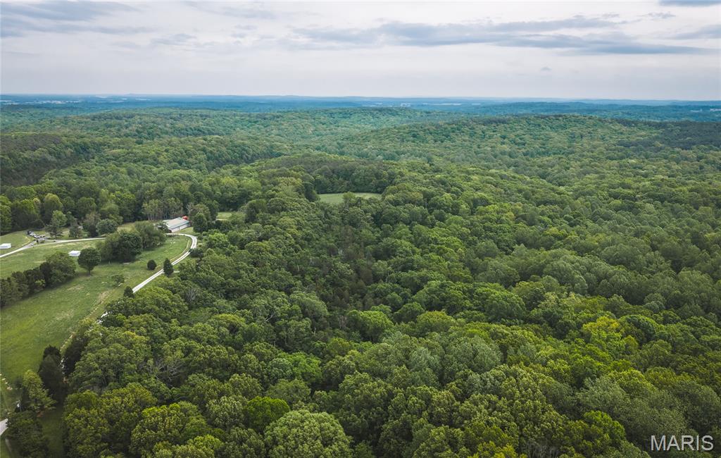 798 Karbers Ridge Road Elizabethtown, IL 62931 - Photo 49 of 95