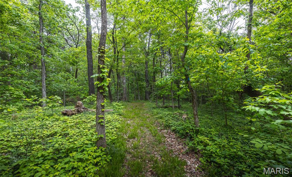 798 Karbers Ridge Road Elizabethtown, IL 62931 - Photo 90 of 95