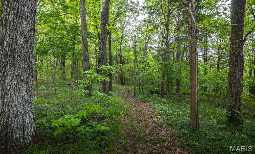 798 Karbers Ridge Road Elizabethtown, IL 62931 - Photo 91 of 95