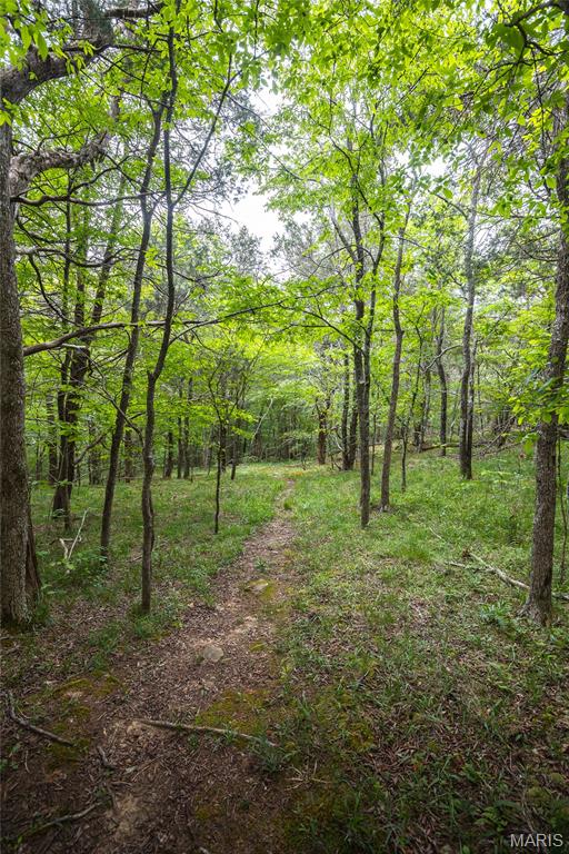 798 Karbers Ridge Road Elizabethtown, IL 62931 - Photo 92 of 95