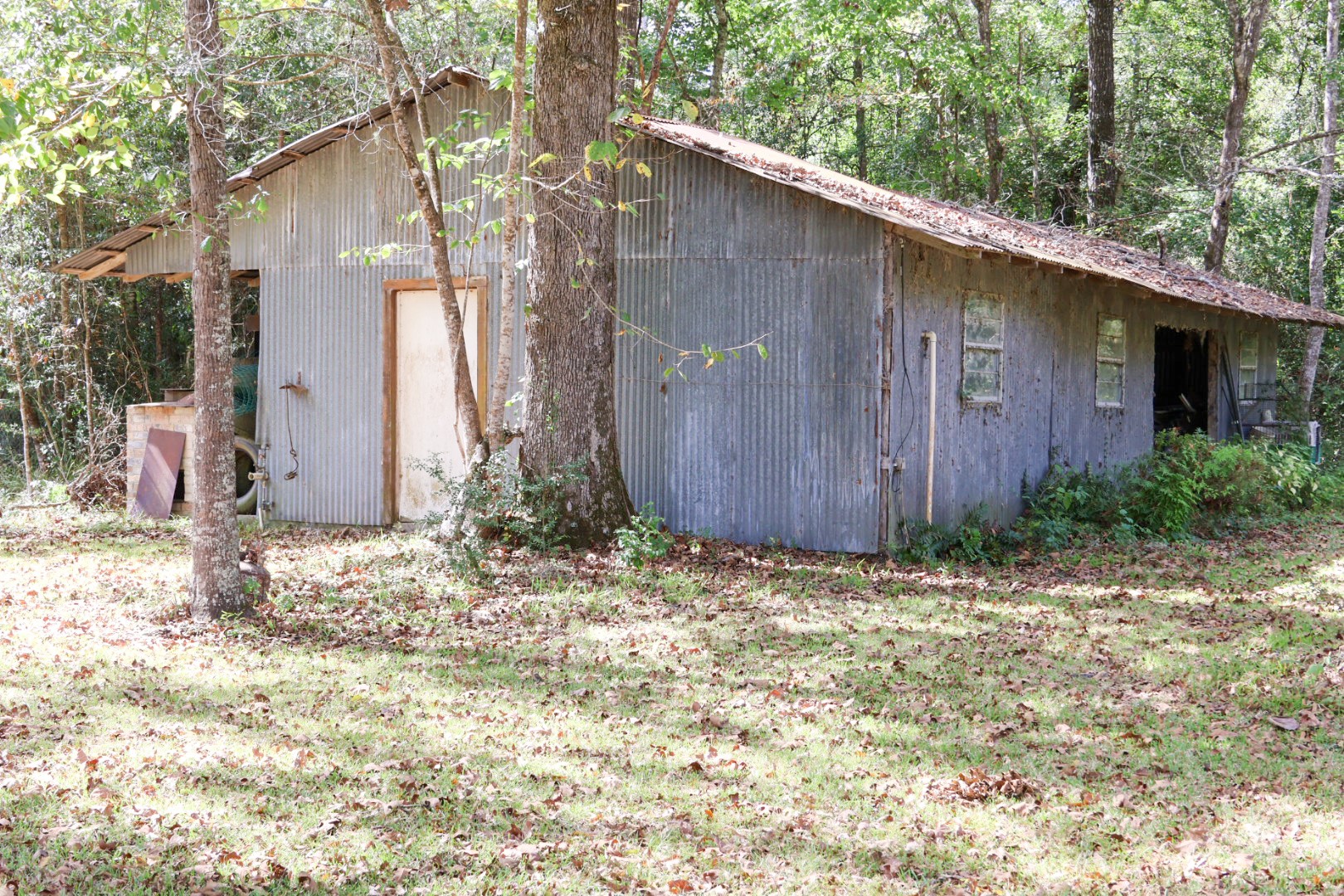 3680 Holly Grove Road Livingston, TX 77351 - Photo 13 of 24