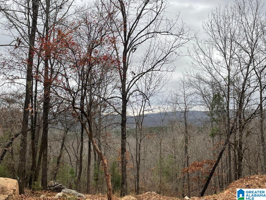149 New Hope Mountain Road, Unit 1 Birmingham, AL 35242 - Photo 2 of 6