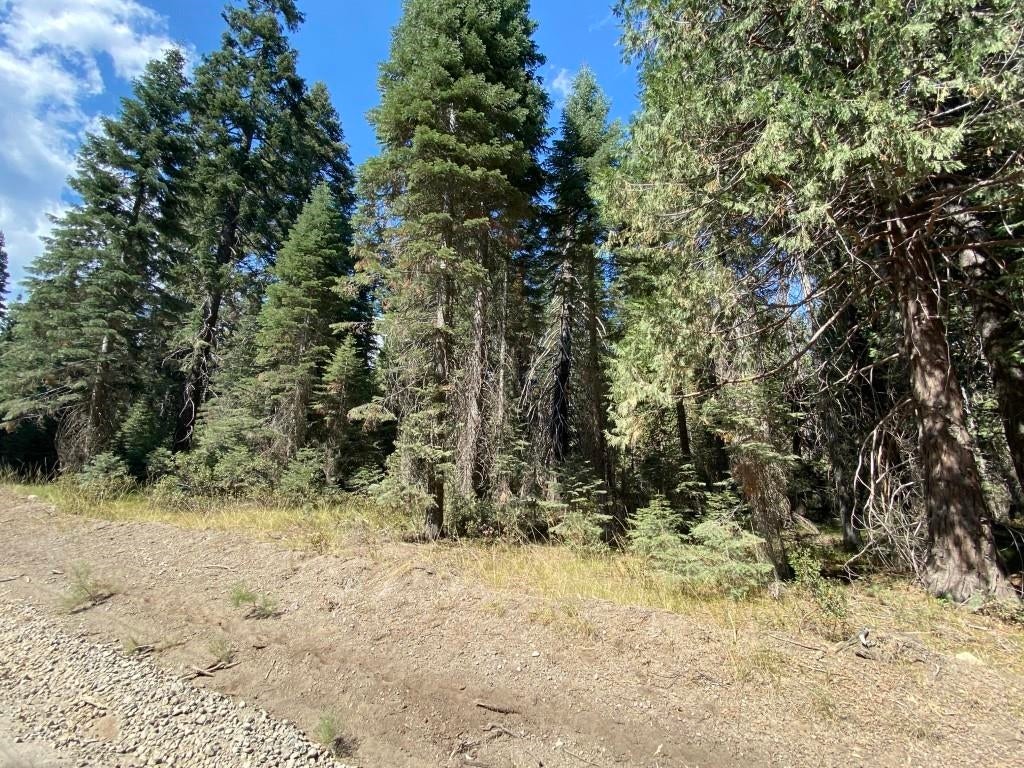 3-i-1 Red Fir Road McCloud, CA 96057 - Photo 6 of 12 Gallery Image 6