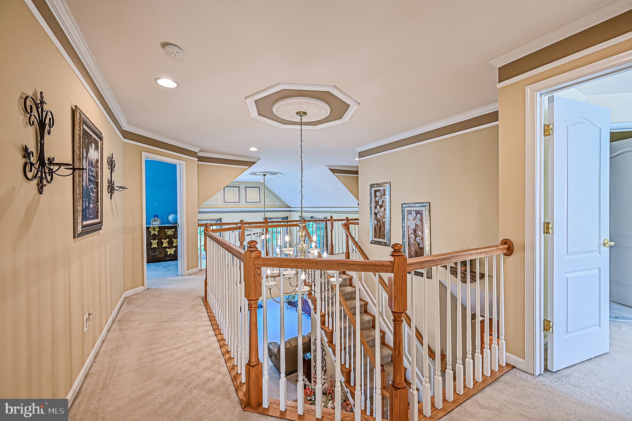 6249 Rolling Spring Court Springfield, VA 22152 - Photo 28 of 50