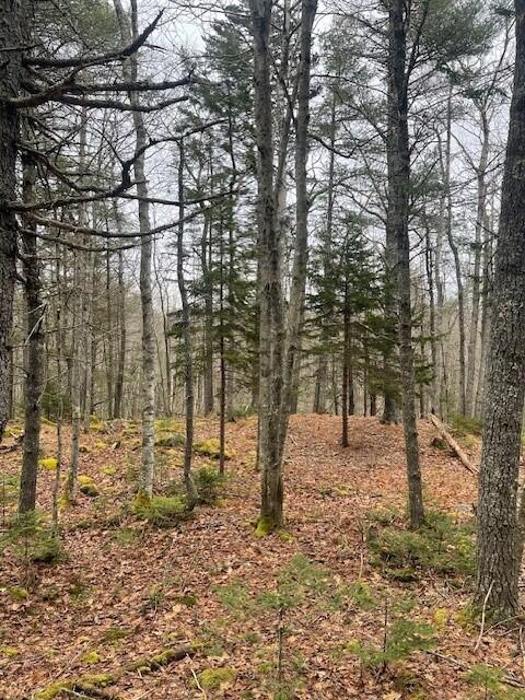 0 Black Spruce Road, Unit LOT 7 Bristol, ME 04539 - Photo 1 of 4 Photo 3