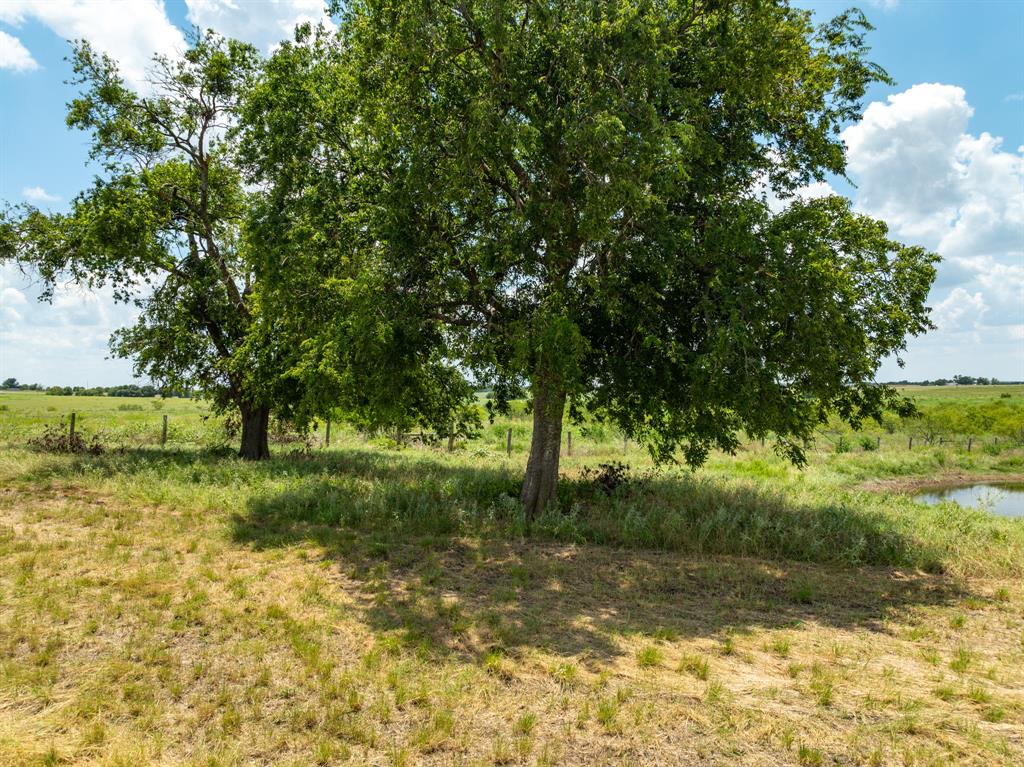 0 Content School Road Temple, TX 76501 - Photo 6 of 13