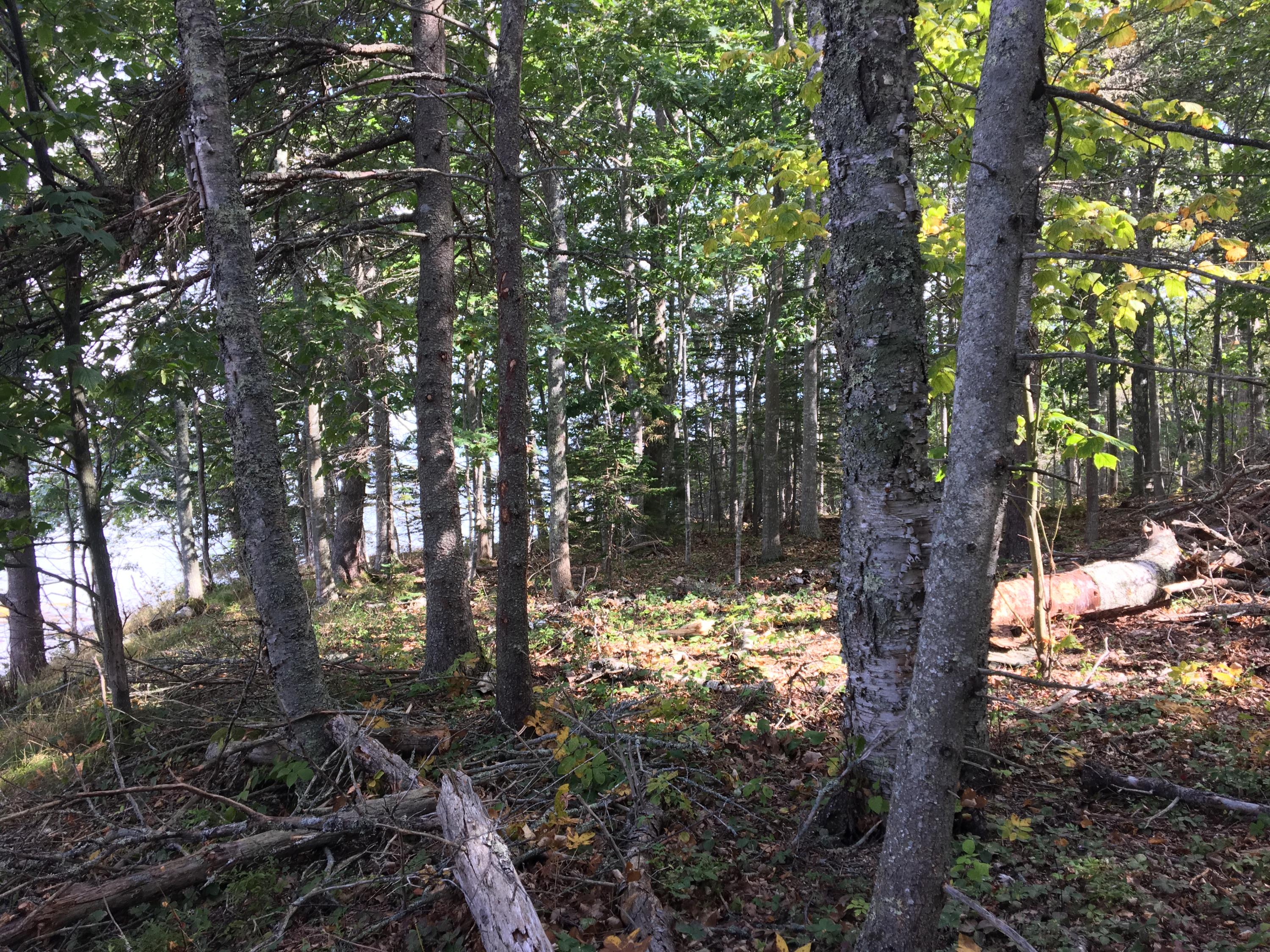 0 Hathorn Point Road Tenants Harbor, ME 04860 - Photo 10 of 16 IMG_0025