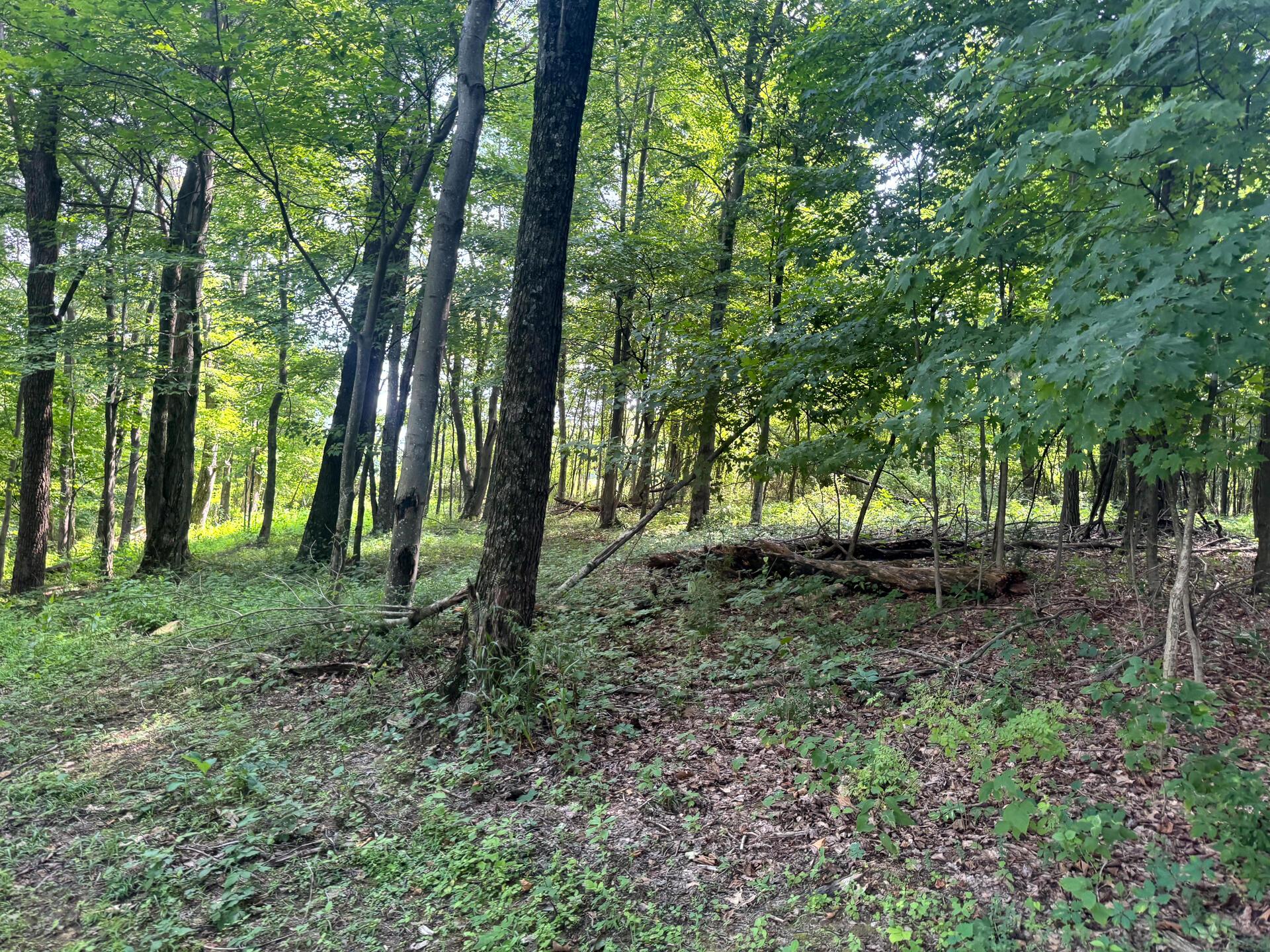 100 Golf Course Road, Unit TRACT 12 SKYLINE ACRES) Waverly, OH 45690 - Photo 38 of 44 CT-38