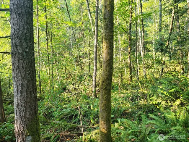 $600,000 | 1858 Northeast McWilliams Road, Bremerton, WA 98311