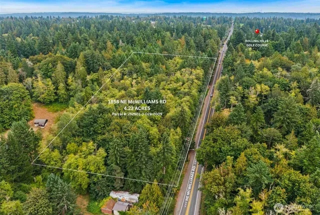 a view of a yard with plants