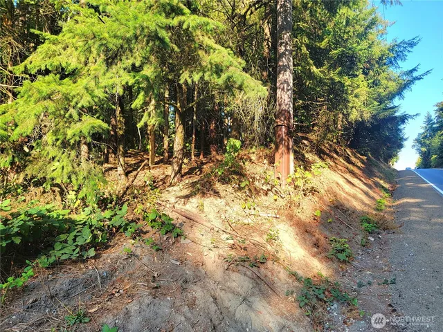 a view of swimming pool from a window