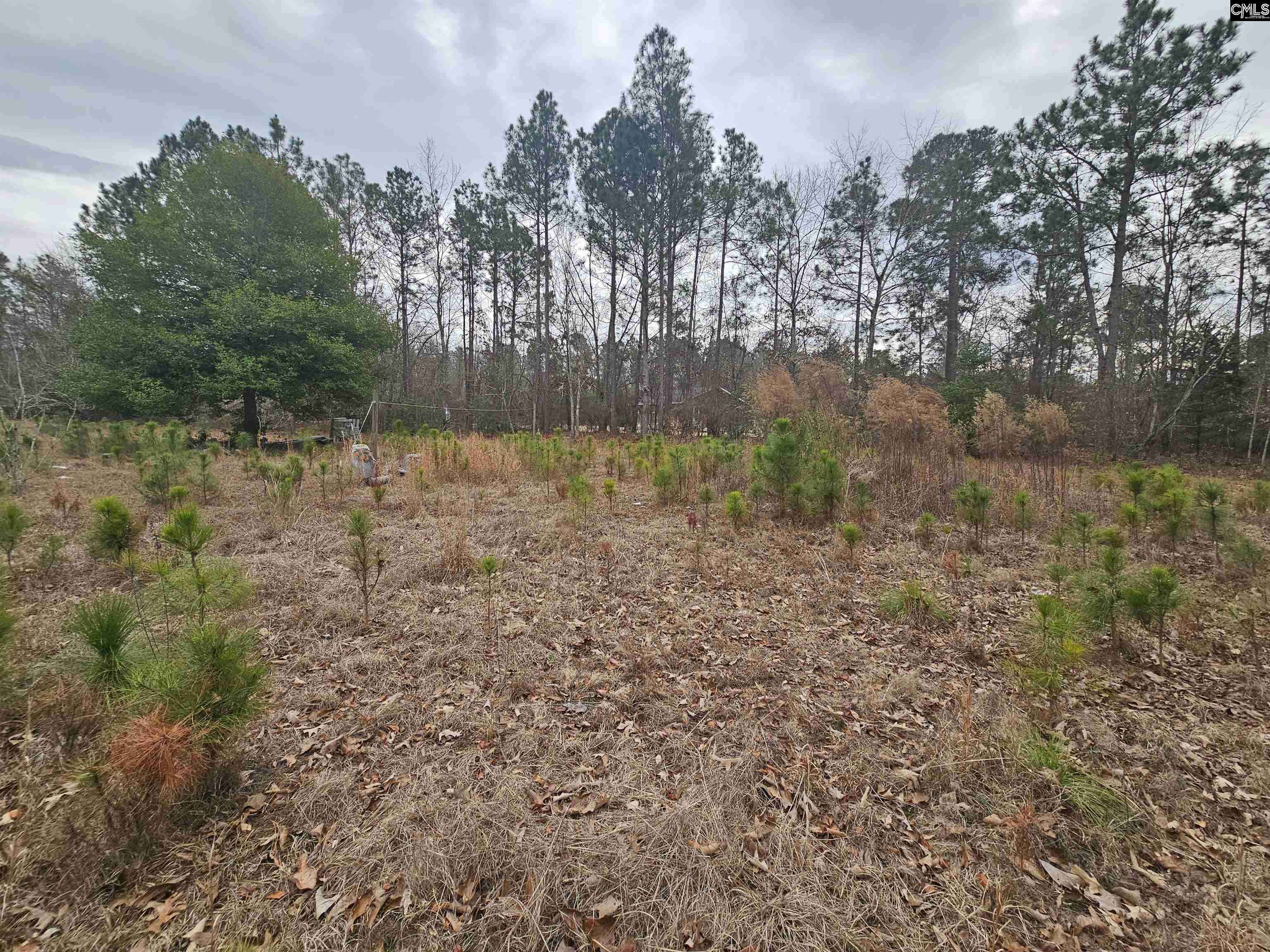 722 Jeff Sharpe Road Gaston, SC 29053 - Photo 12 of 18