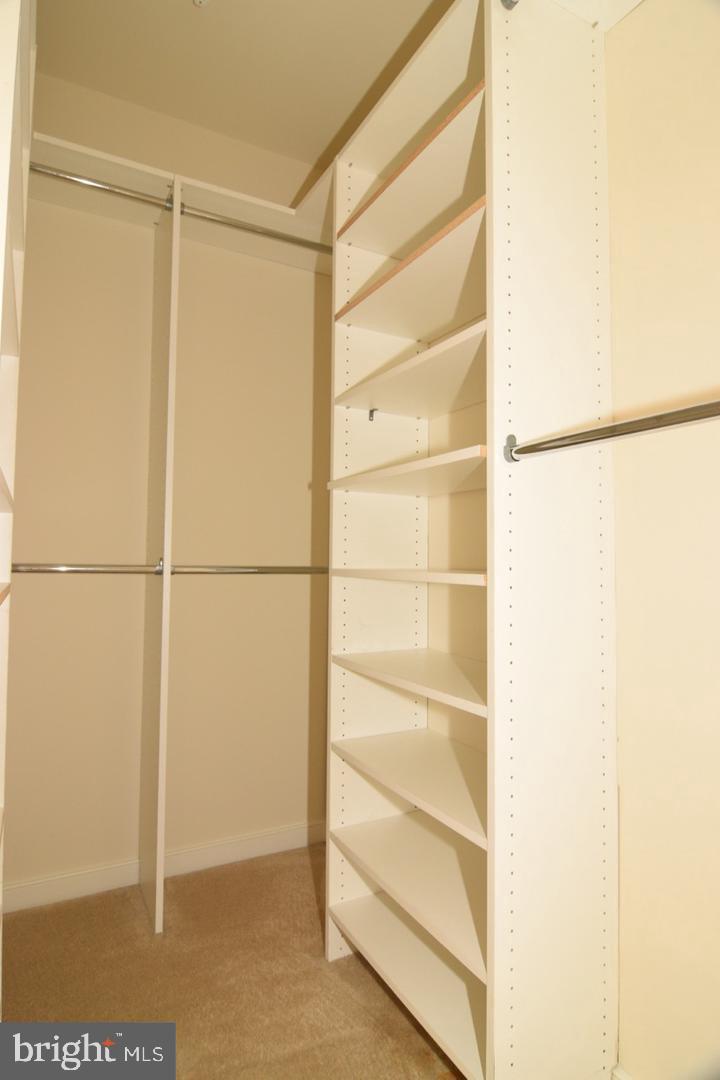 11036 Amherst Avenue Silver Spring, MD 20902 - Photo 12 of 20 AND A WALK IN CLOSET WITH BUILT INS!