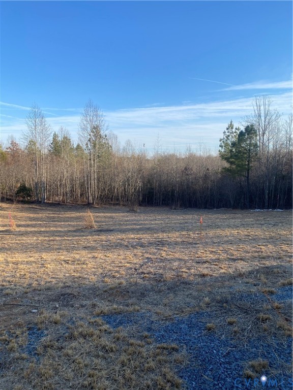 Lot 1 Hadensville Farm Road Mineral, VA 23117 - Photo 3 of 10 a view of a backyard