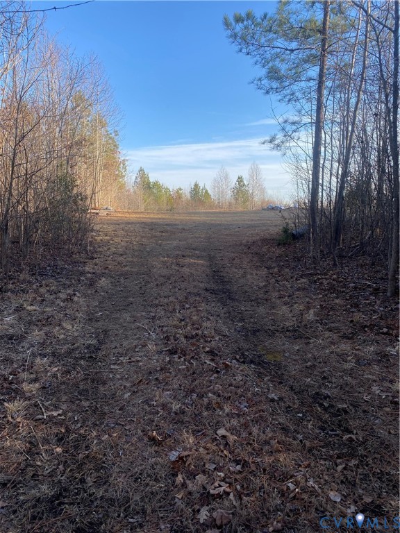 Lot 1 Hadensville Farm Road Mineral, VA 23117 - Photo 4 of 10 a view of a large yard with lots of green space