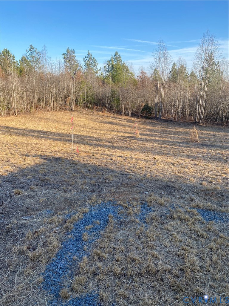 Lot 1 Hadensville Farm Road Mineral, VA 23117 - Photo 5 of 10 a view of a field with trees in the background