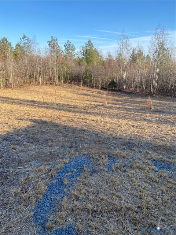 Lot 1 Hadensville Farm Road Mineral, VA 23117 - Photo 5 of 10 a view of a town with water fall