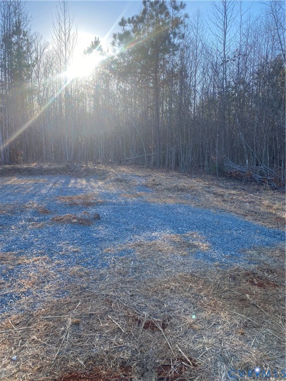 Lot 1 Hadensville Farm Road Mineral, VA 23117 - Photo 6 of 10 a view of backyard with tree