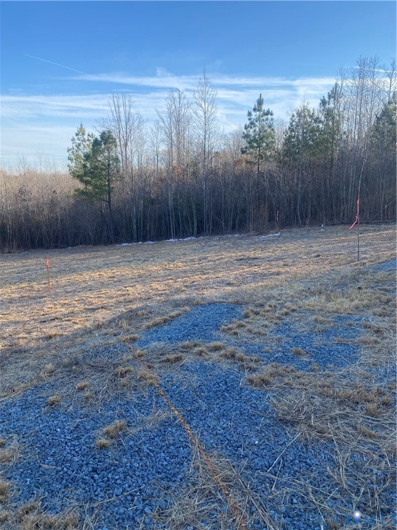 Lot 1 Hadensville Farm Road Mineral, VA 23117 - Photo 7 of 10 a view of a backyard