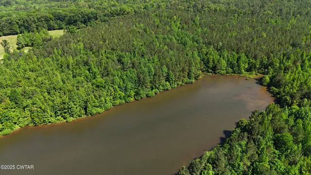 a view of a forest with a street