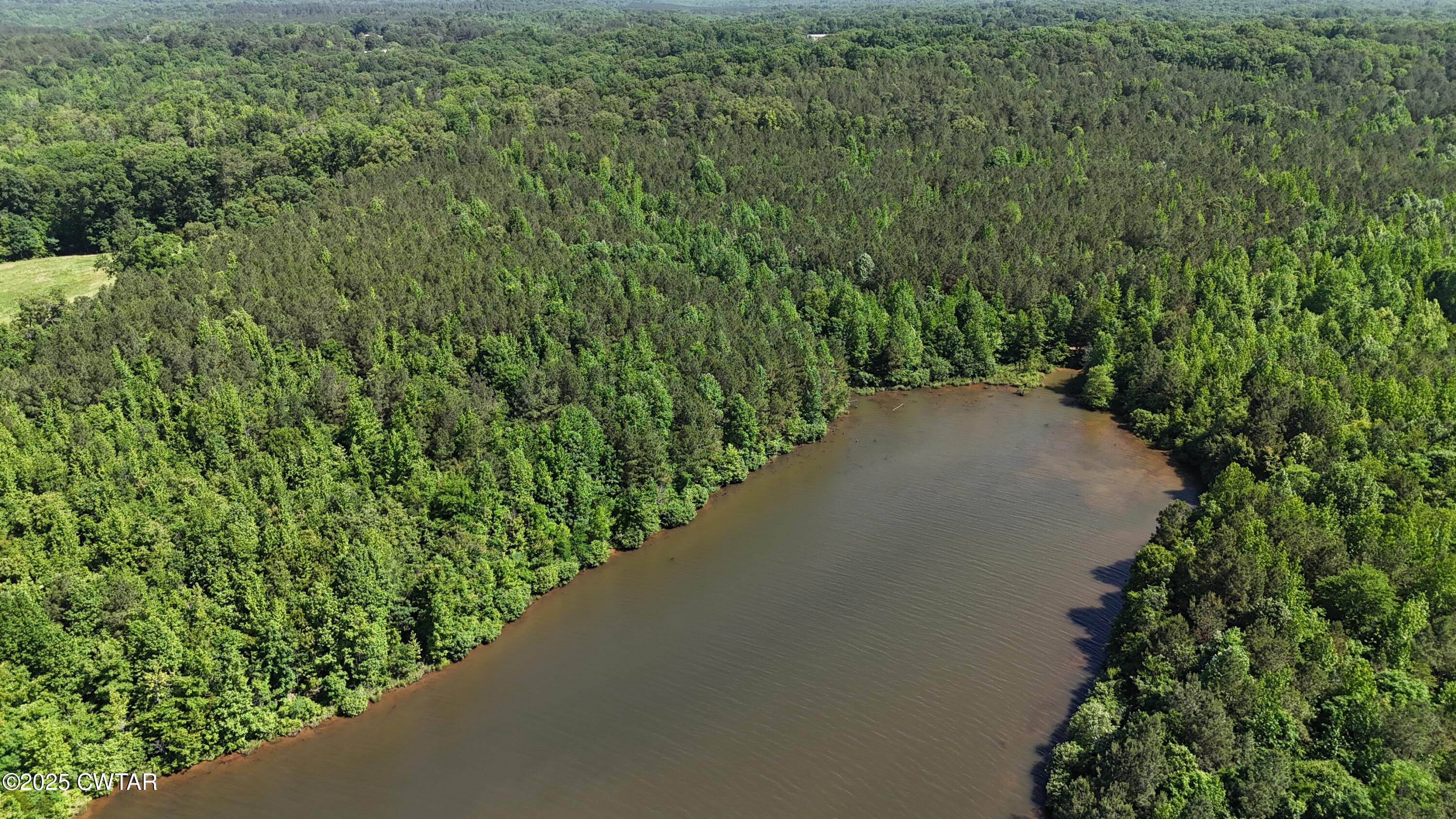 398 Baker Road Huntingdon, TN 38344 - Photo 13 of 23 a view of a garden with a plant