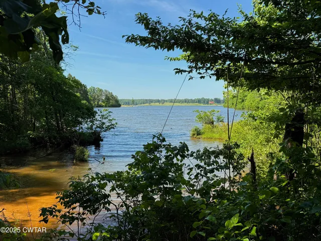a view of a lake with large trees
