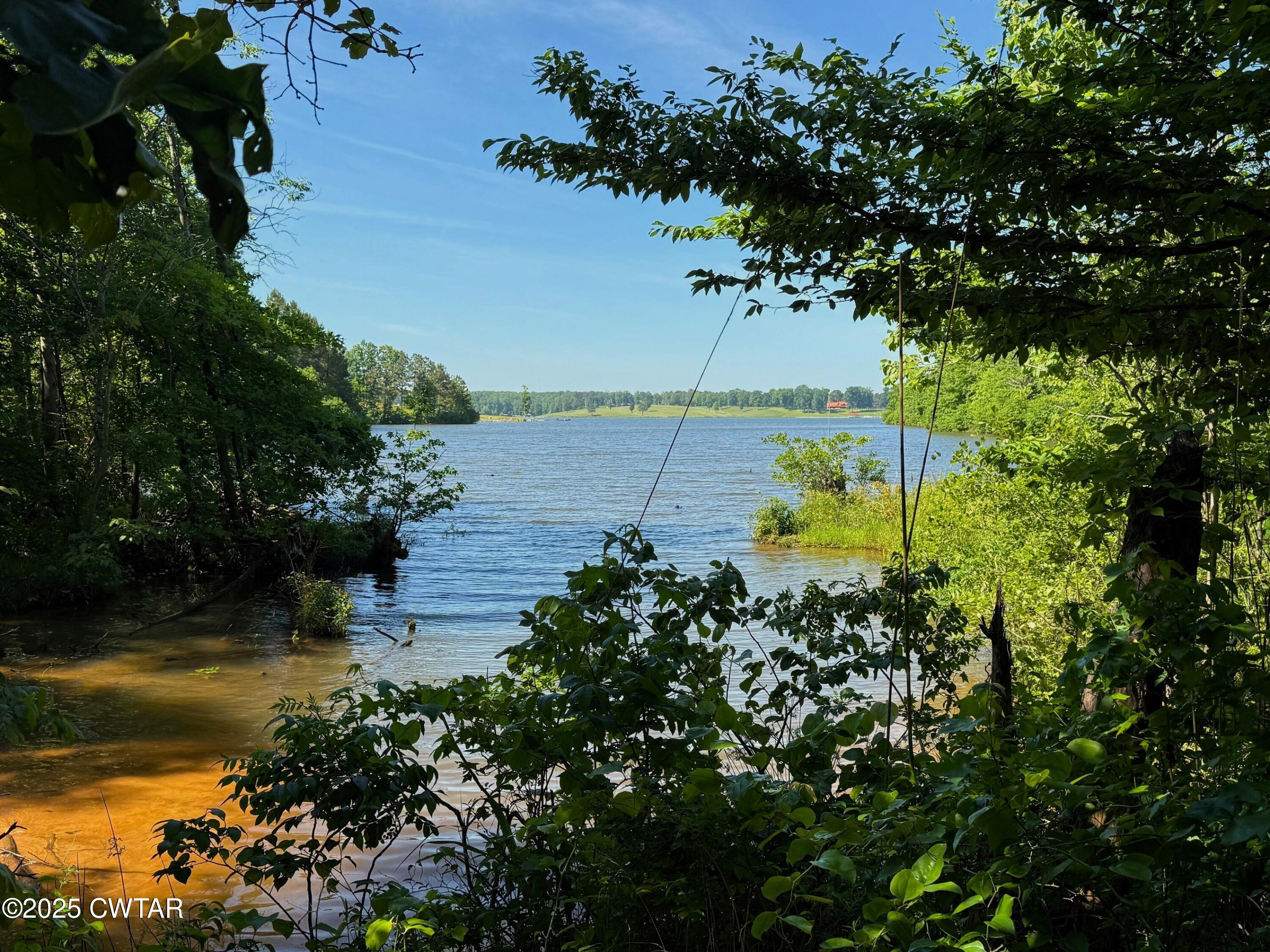 398 Baker Road Huntingdon, TN 38344 - Photo 15 of 23 a view of a lake with large trees