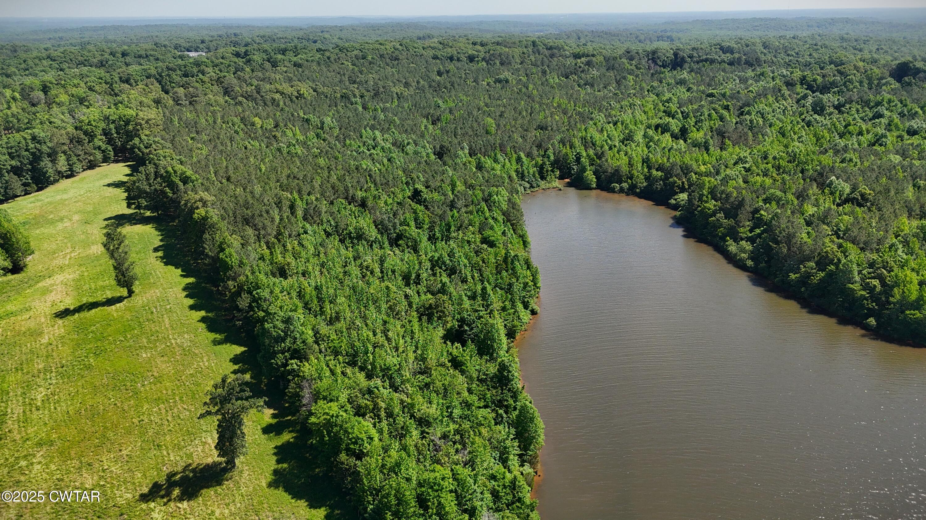 398 Baker Road Huntingdon, TN 38344 - Photo 5 of 23 a view of a yard with plants