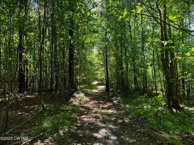 a view of outdoor space and green space