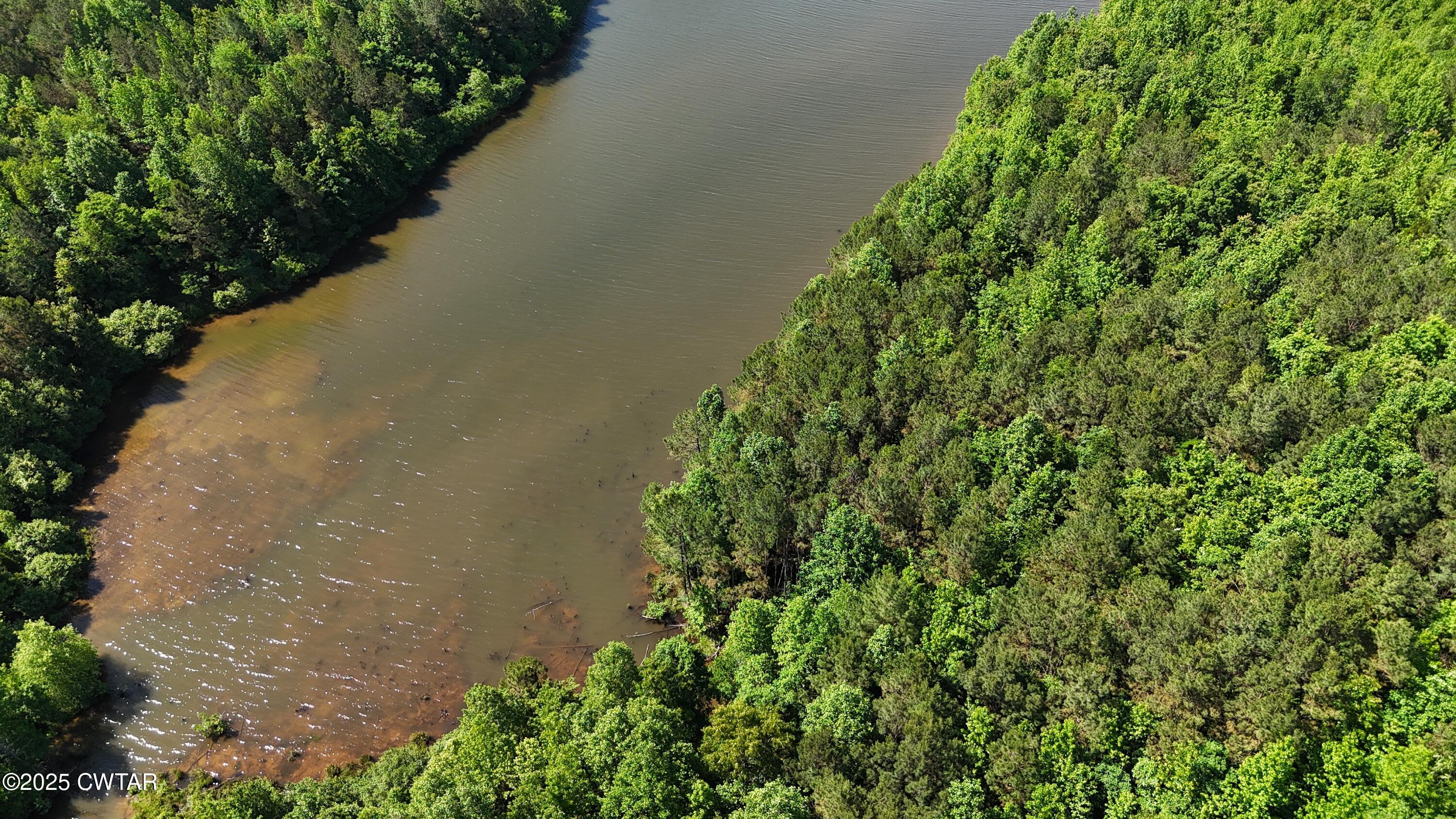398 Baker Road Huntingdon, TN 38344 - Photo 10 of 23 a view of a garden with a tree