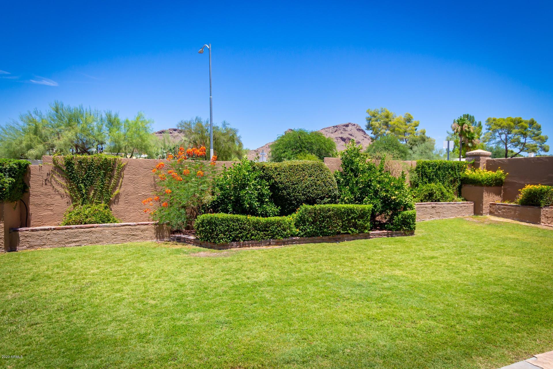 1256 East Redfield Road Phoenix, AZ 85022 - Photo 5 of 27 Backyard w/ great mountain views