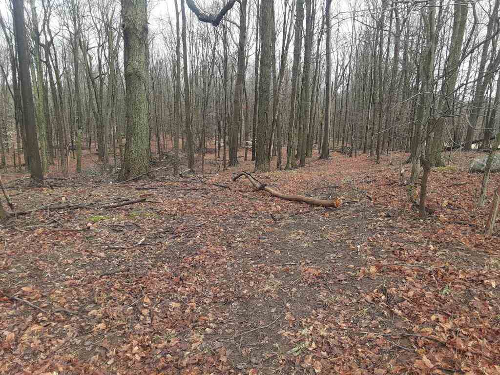 38-acres East Hazel Road Mears, MI 49436 - Photo 2 of 12