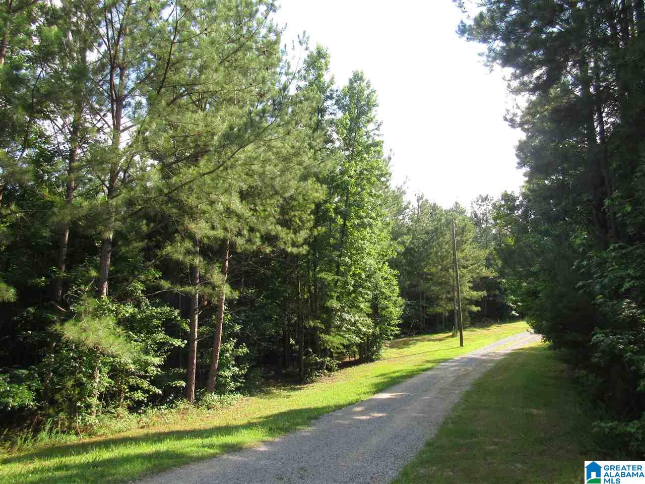 0 County Road 997, Unit 1 Clanton, AL 35045 - Photo 5 of 7