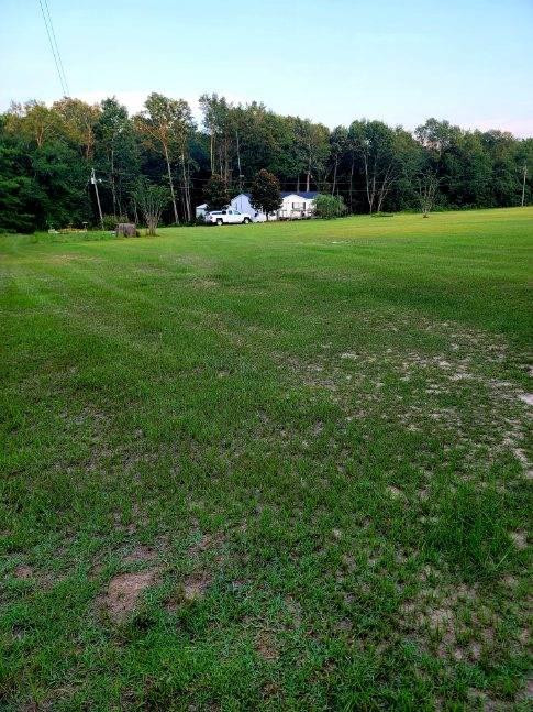 2404 Long Branch Road Avera, GA 30803 - Photo 35 of 36