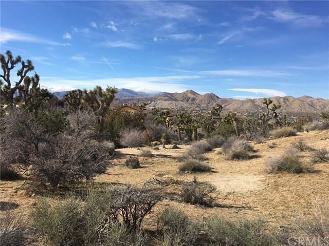 55486 Bunny Road Yucca Valley, CA 92284 - Photo 1 of 1 Gallery Image 1