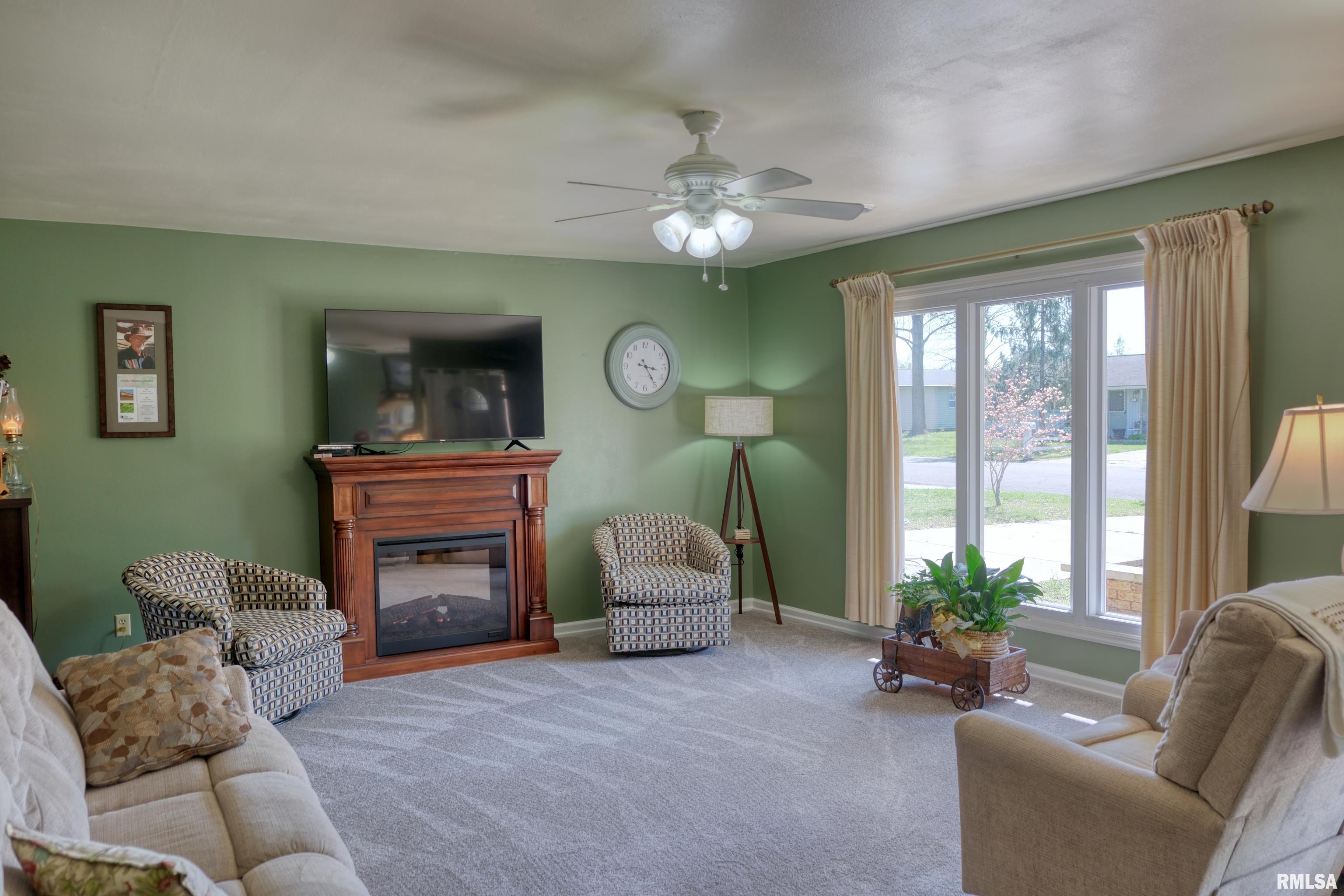 1006 Roberta Drive Murphysboro, IL 62966 - Photo 3 of 35