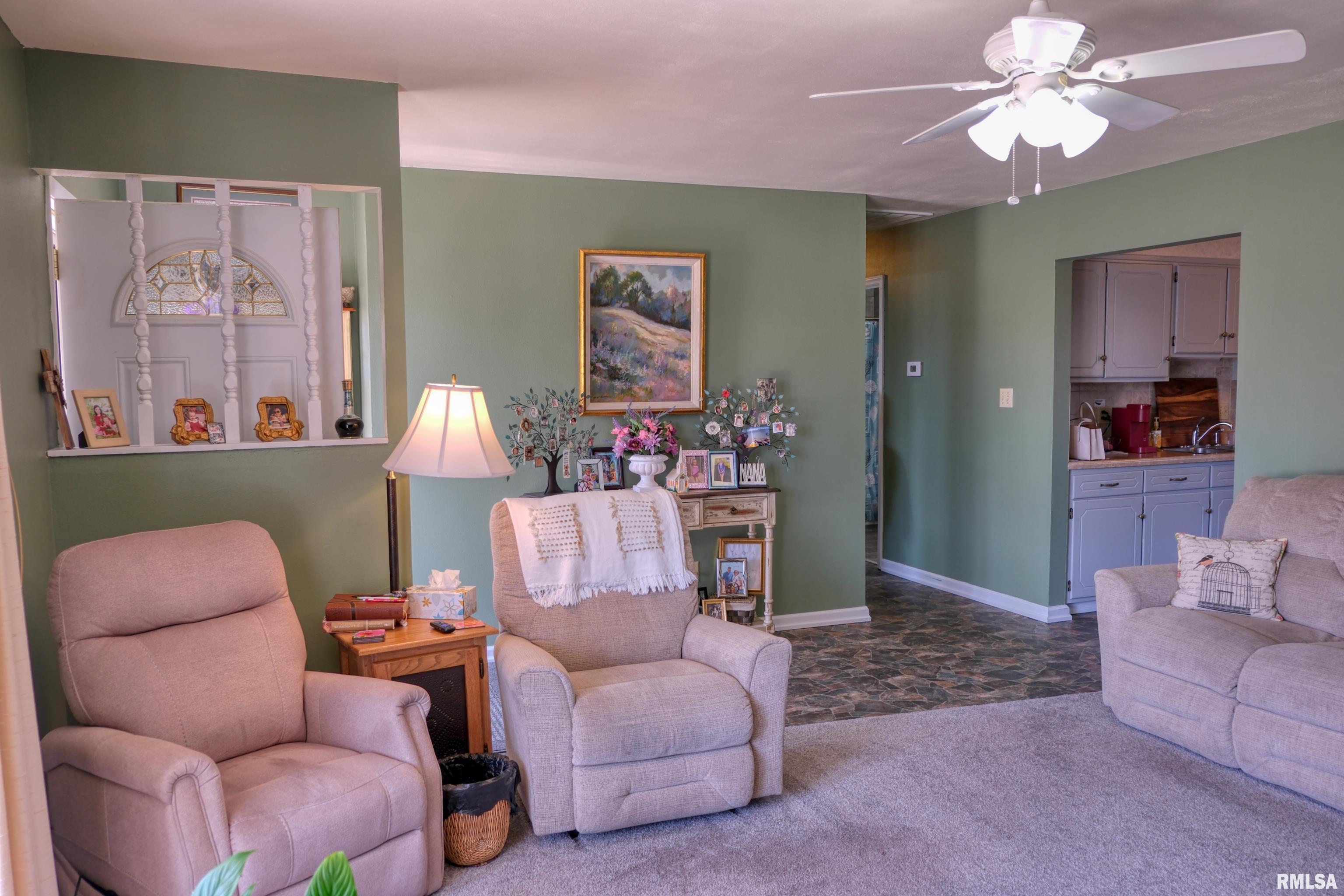 1006 Roberta Drive Murphysboro, IL 62966 - Photo 6 of 35