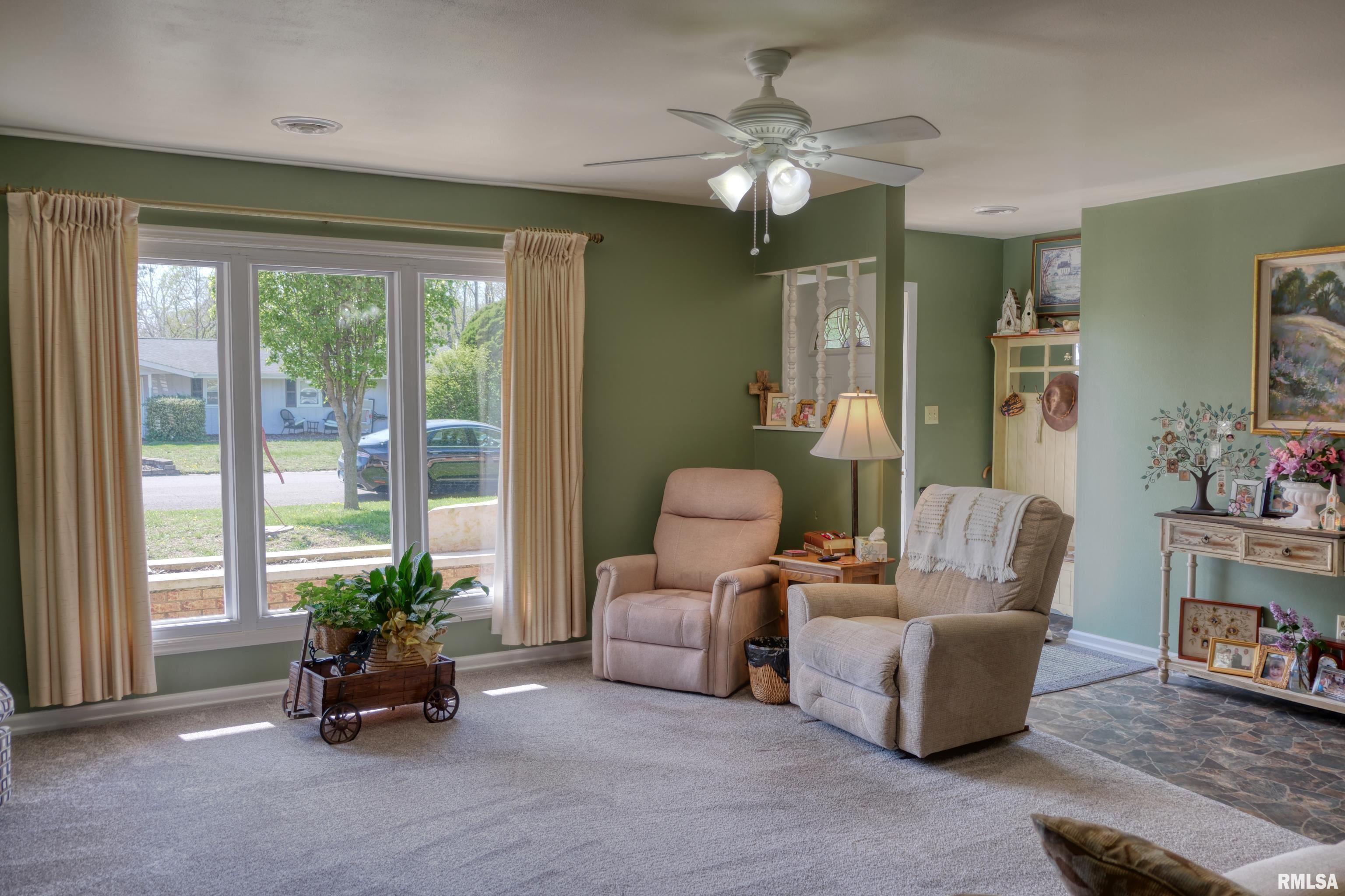 1006 Roberta Drive Murphysboro, IL 62966 - Photo 7 of 35