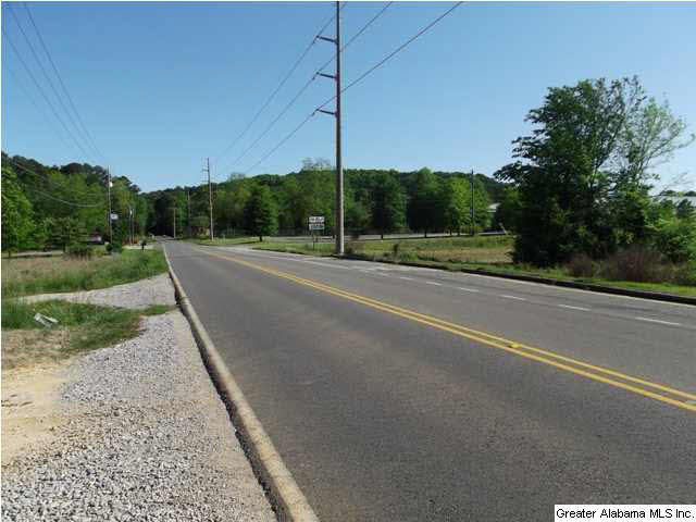 6719 Trussville Clay Road Pinson, AL 35126 - Photo 4 of 5